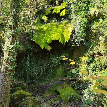 A La Campagne * Monesties